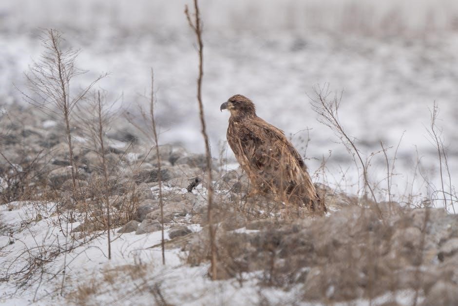 michigan duck hunting guides