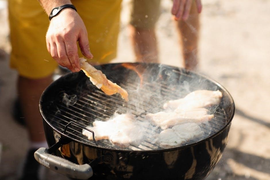 char broil big easy instructions manual