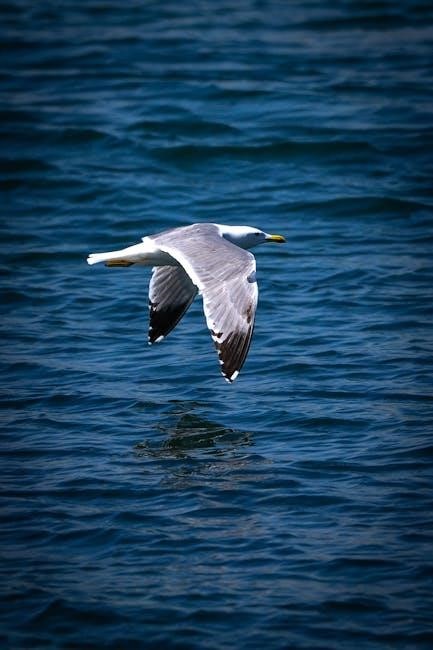 the little seagull handbook pdf free