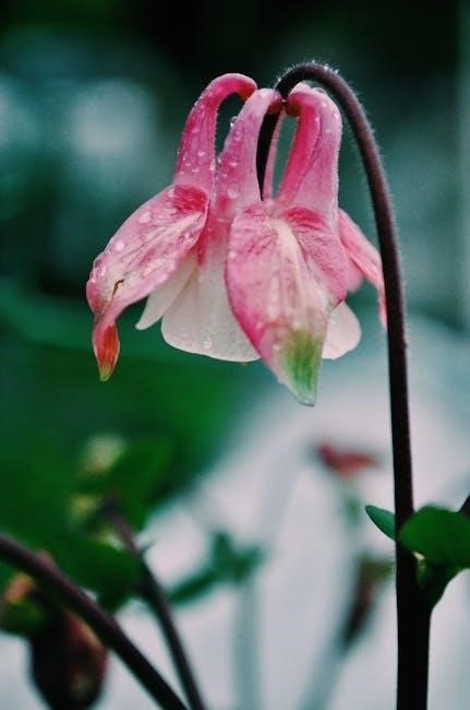 nikon coolpix p500 instruction manual