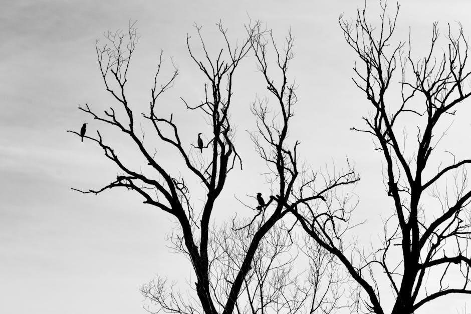 judson isd calendar 24 25 pdf